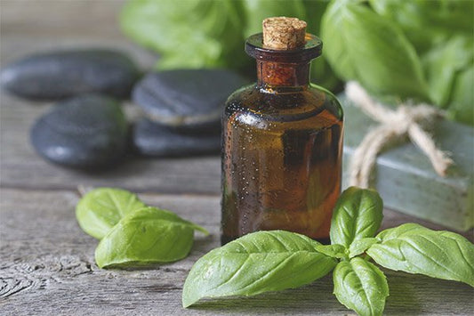 DIY Recipes Using Basil Essential Oil