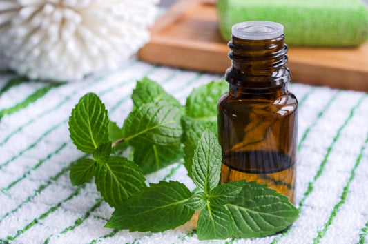 Peppermint Essential Oil Blog Post