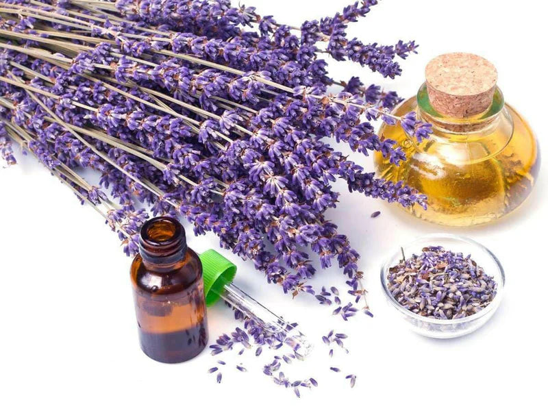 Lavender Oil Pure (Bulgarian)