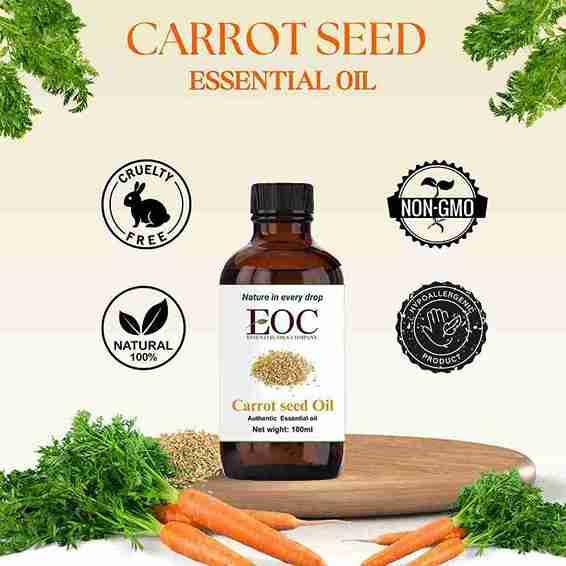 Carrot Seed Oil - R K Essential Oil