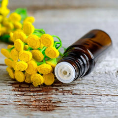 buy blue tansy oil in india