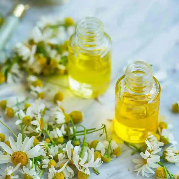 buy chamomile oil roman in india