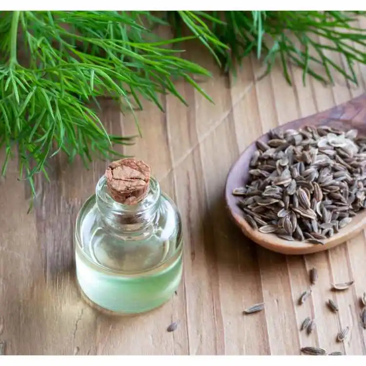 Buy Dill Seed Oil