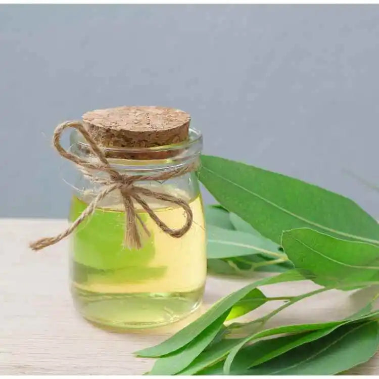 Buy Eucalyptus Citriodora Oil