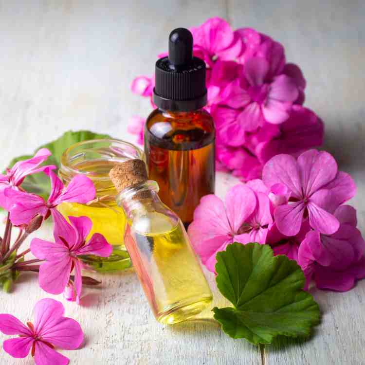 Buy Geranium Oil Egyptian