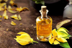 Ylang Ylang Oil