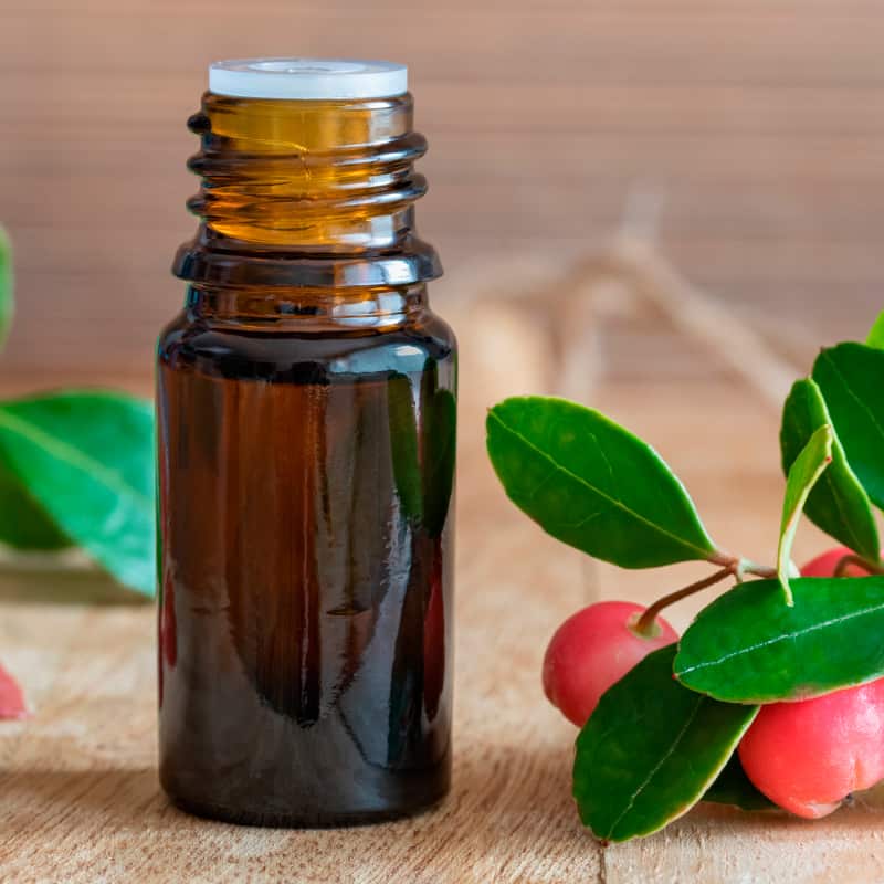 Wintergreen Oil