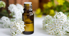 Yarrow Oil