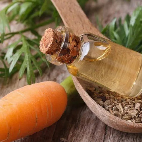 Carrot Seed Oil STD