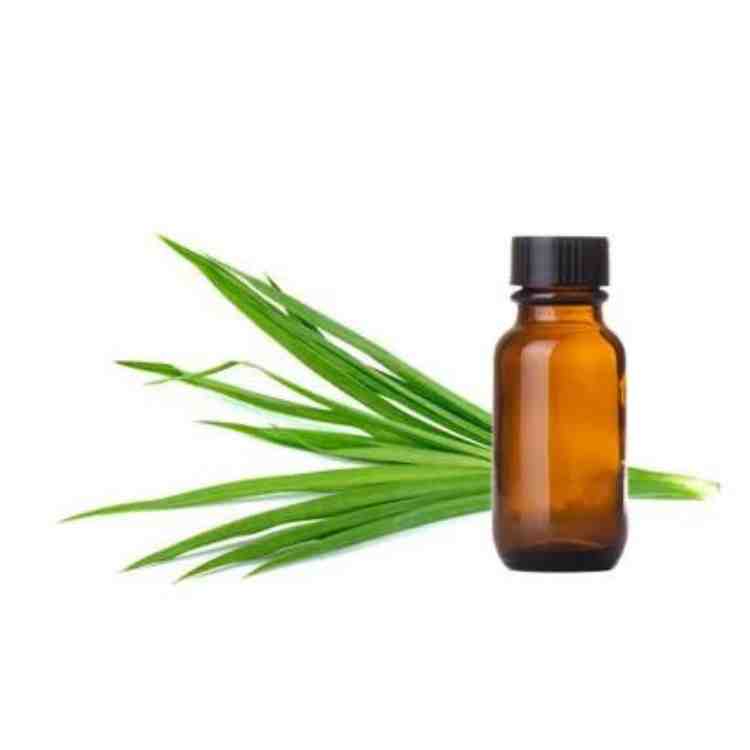 Buy gingergrass oil