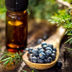 Juniper Berry Oil