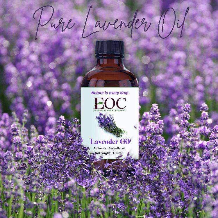 Lavender Essential OIl - R K Essential Oil