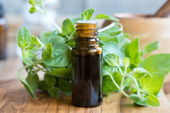 Oregano Oil