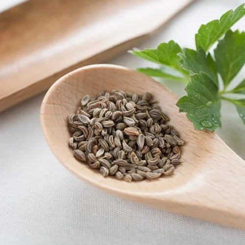 Parsley Seed Oil