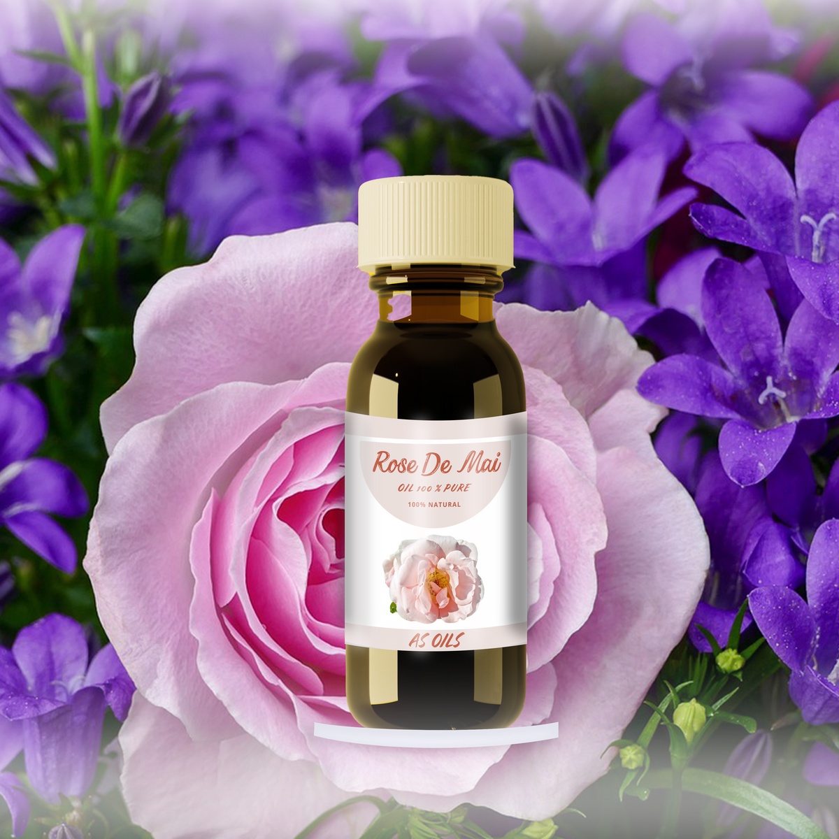 Rose de mai Oil